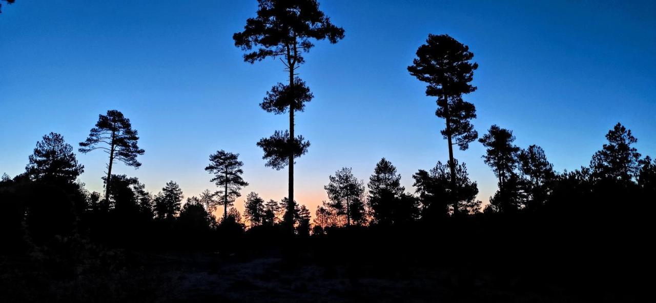 Alojamiento Rural Los Hacheros ตรากาเซเต ภายนอก รูปภาพ