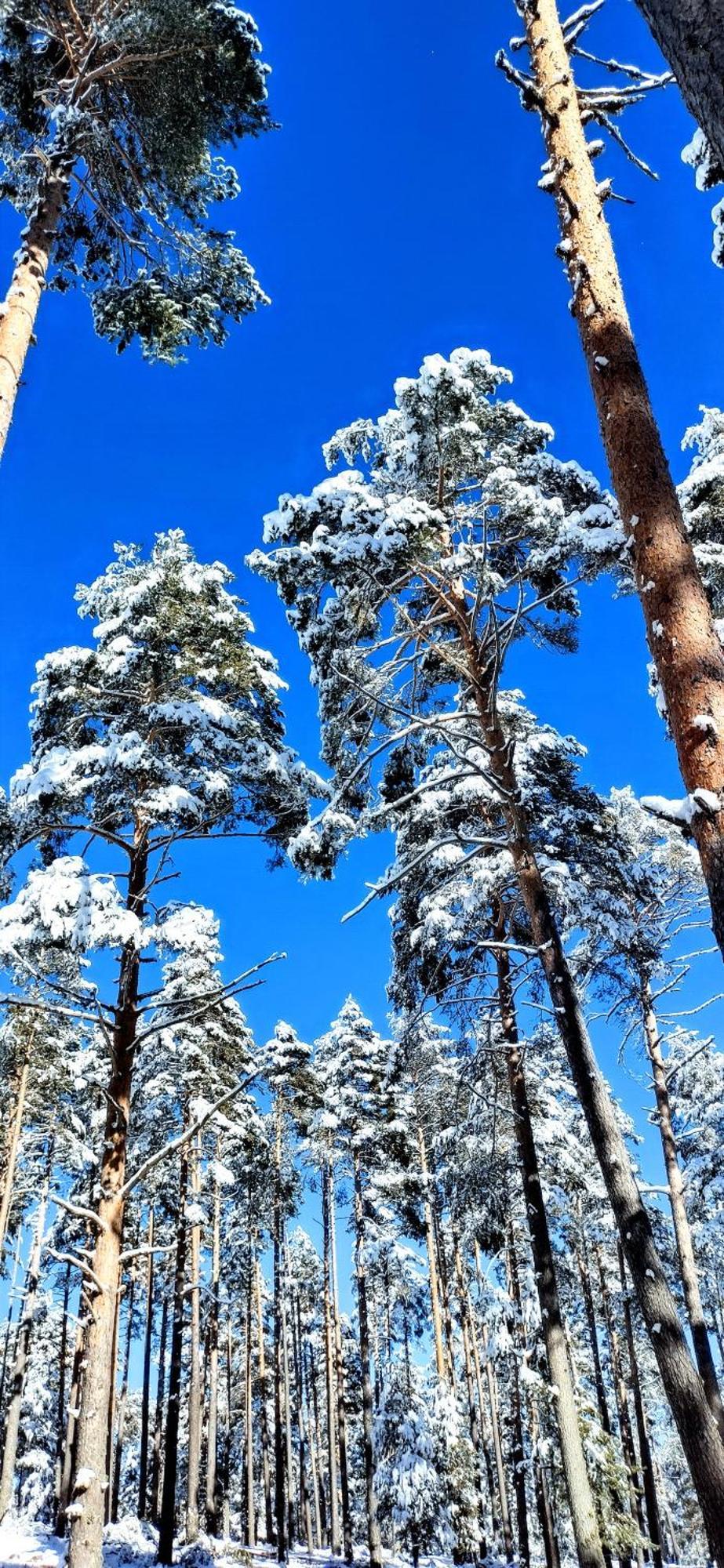 Alojamiento Rural Los Hacheros ตรากาเซเต ภายนอก รูปภาพ