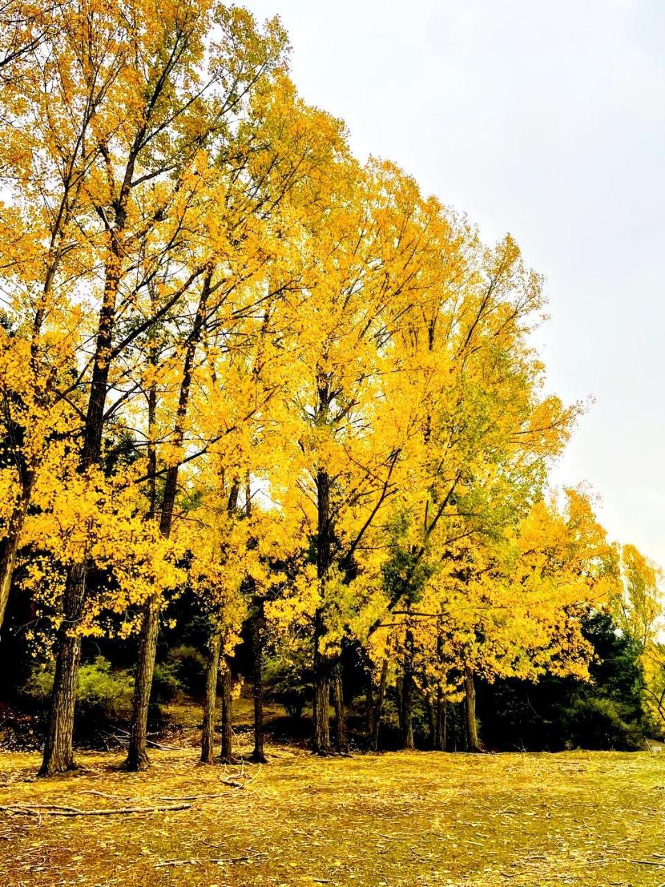 Alojamiento Rural Los Hacheros ตรากาเซเต ภายนอก รูปภาพ