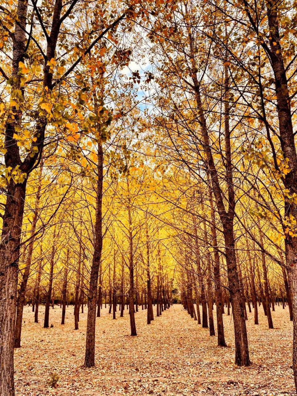 Alojamiento Rural Los Hacheros ตรากาเซเต ภายนอก รูปภาพ