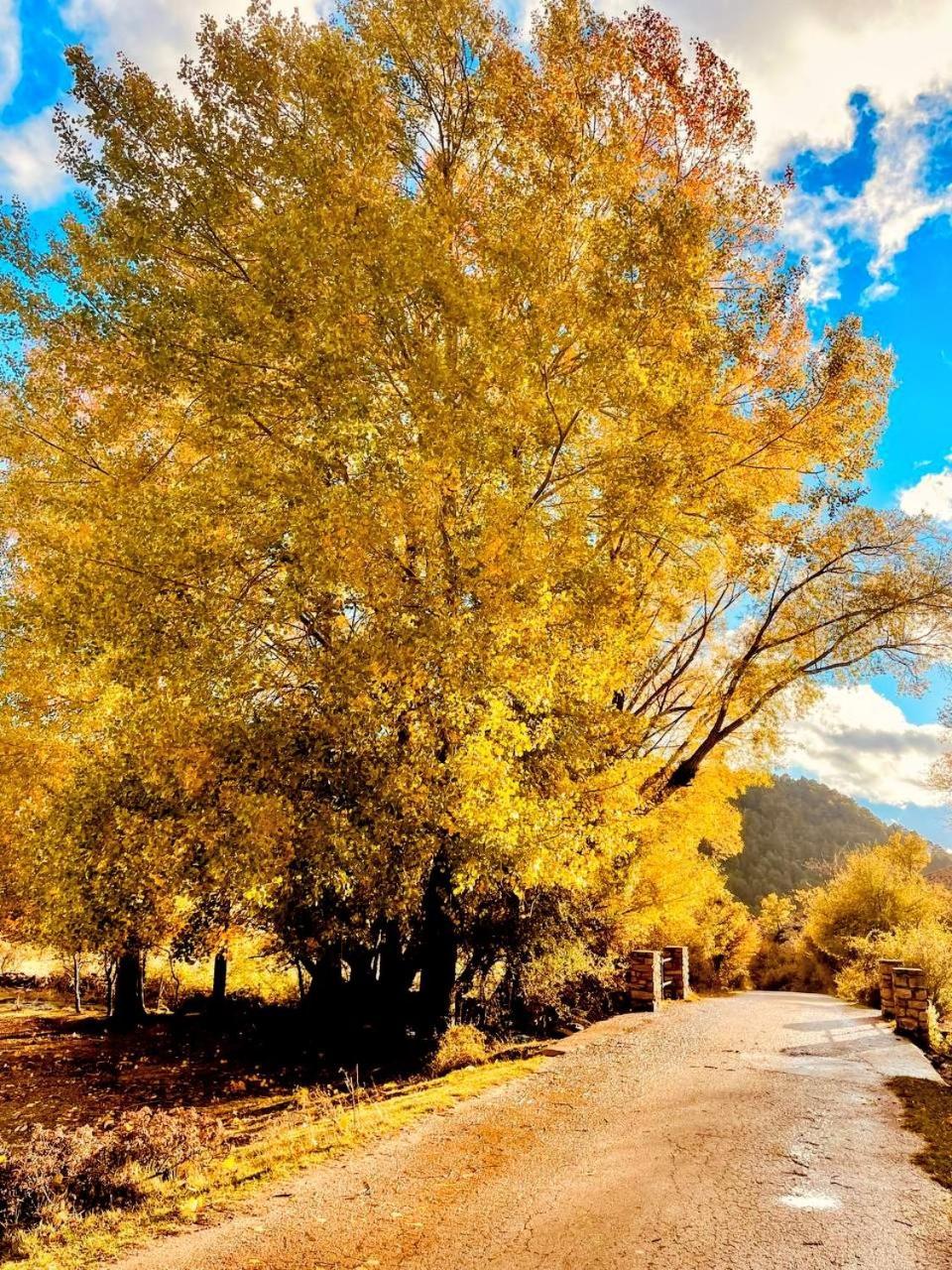 Alojamiento Rural Los Hacheros ตรากาเซเต ภายนอก รูปภาพ