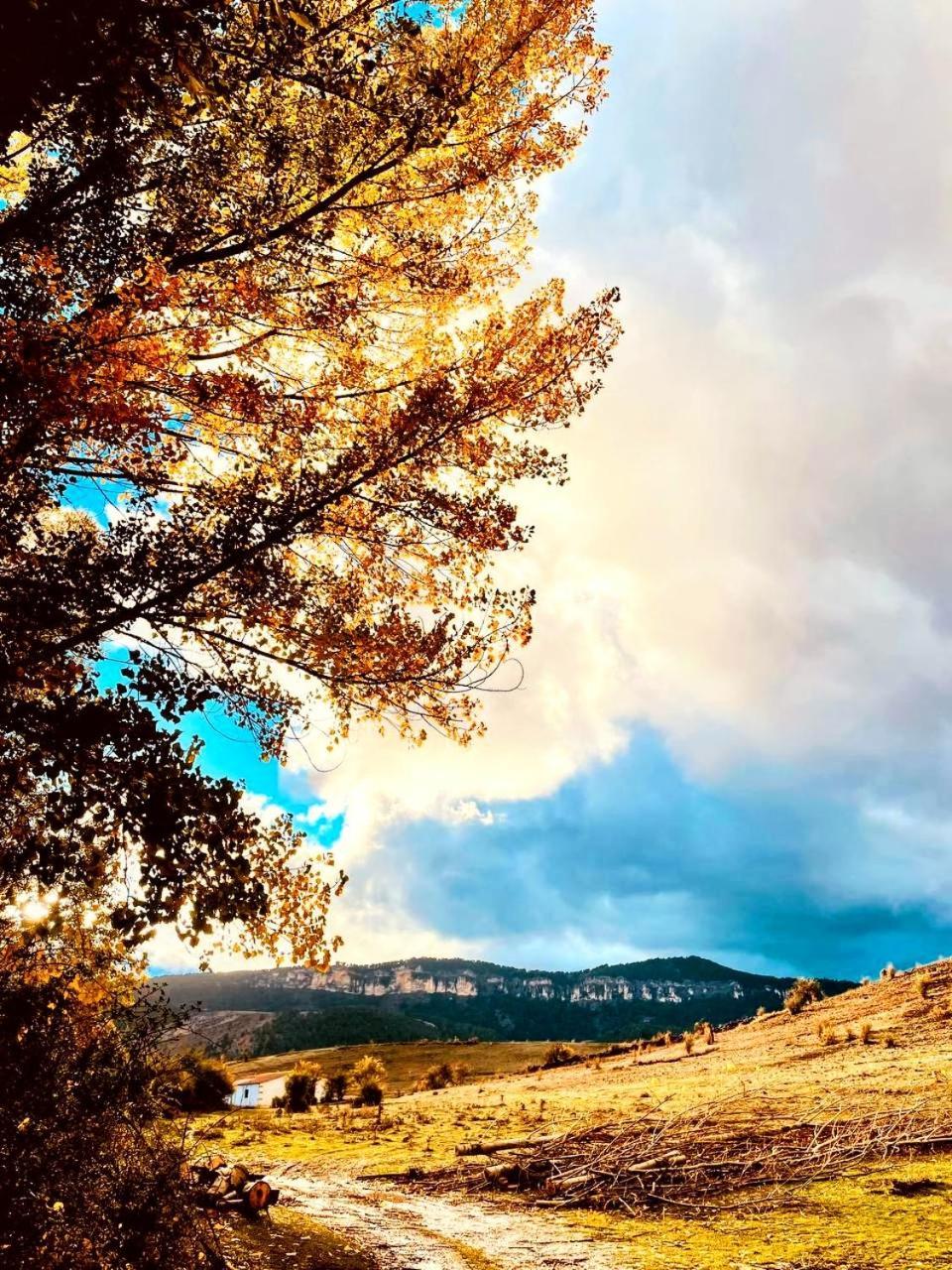Alojamiento Rural Los Hacheros ตรากาเซเต ภายนอก รูปภาพ