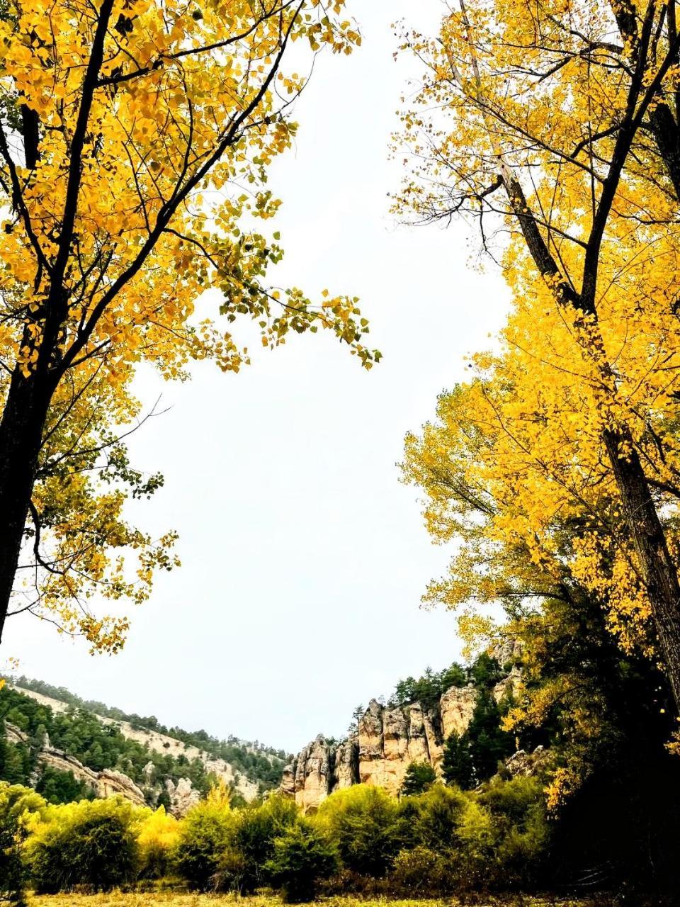 Alojamiento Rural Los Hacheros ตรากาเซเต ภายนอก รูปภาพ