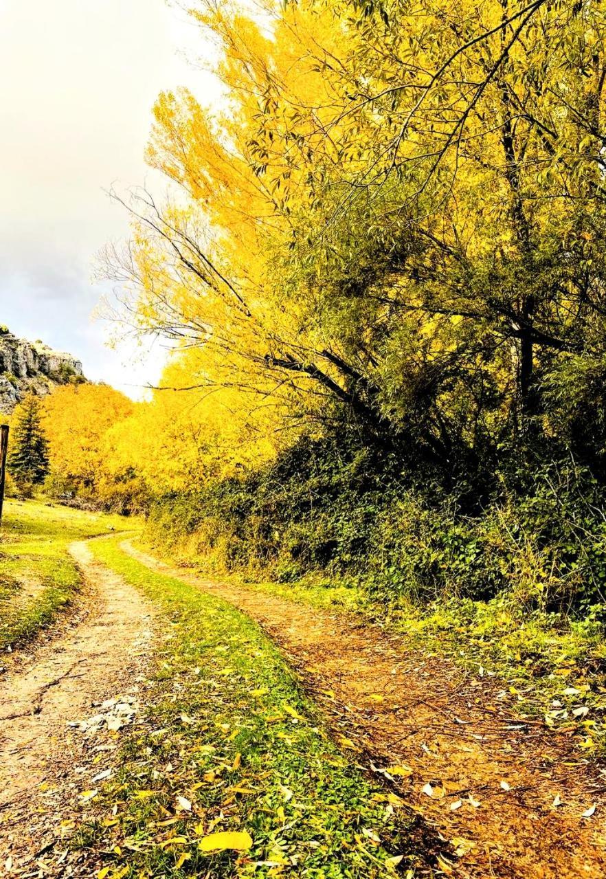 Alojamiento Rural Los Hacheros ตรากาเซเต ภายนอก รูปภาพ